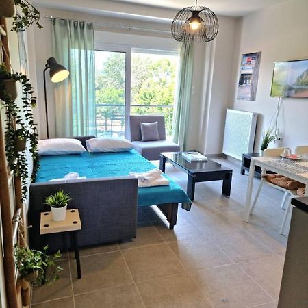 Palaia Premium Flat Apartment โวโลส ภายนอก รูปภาพ