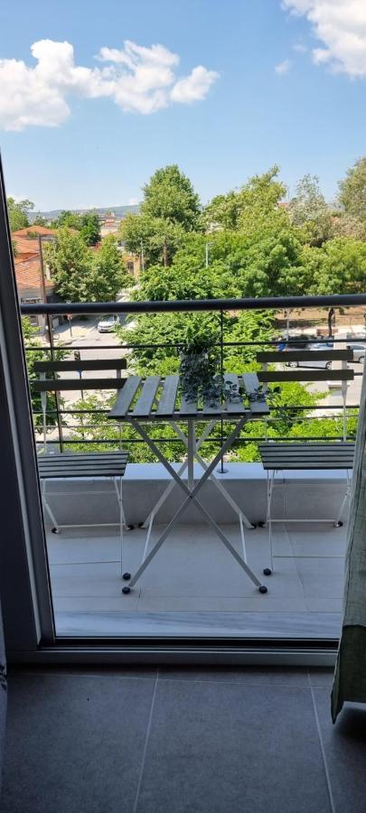 Palaia Premium Flat Apartment โวโลส ภายนอก รูปภาพ