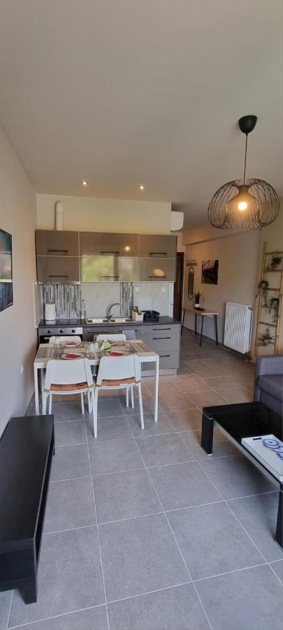 Palaia Premium Flat Apartment โวโลส ภายนอก รูปภาพ