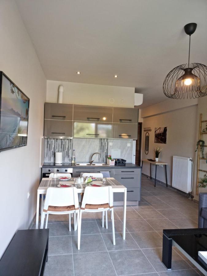 Palaia Premium Flat Apartment โวโลส ภายนอก รูปภาพ